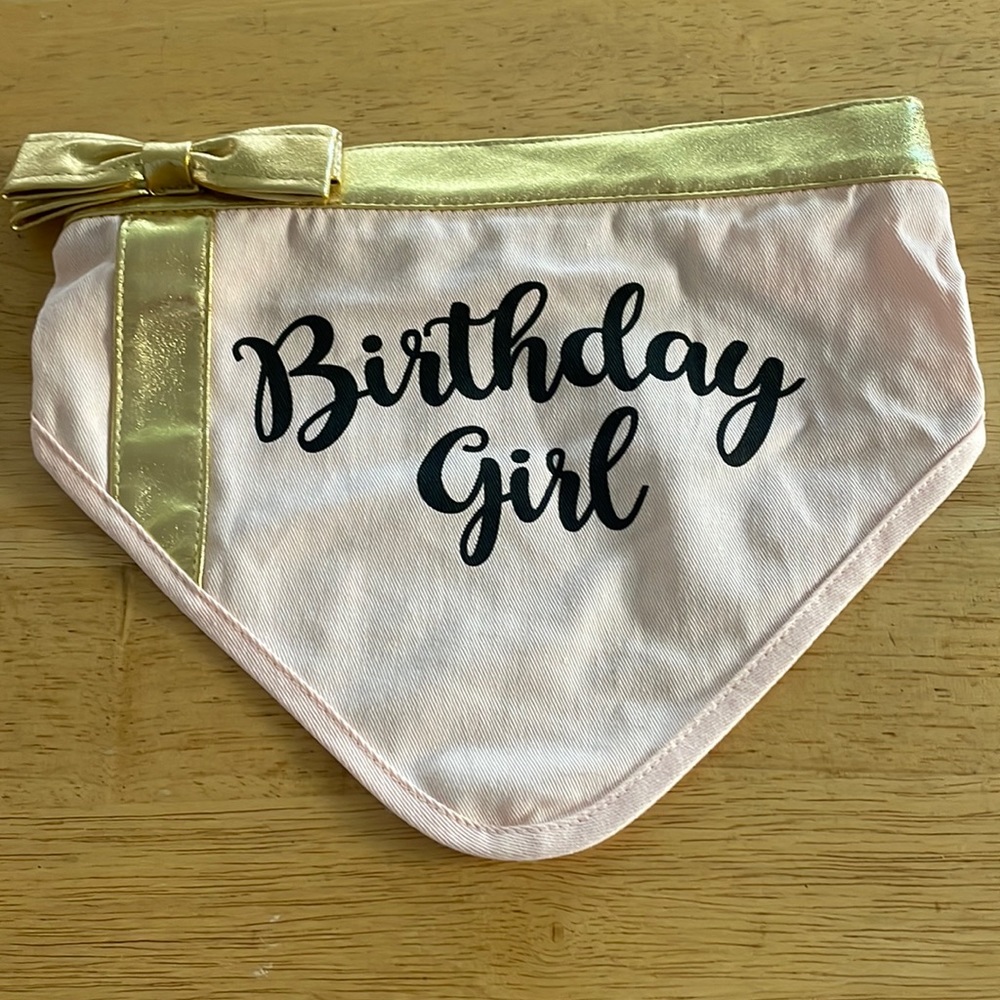 Dog Birthday Girl Bandana